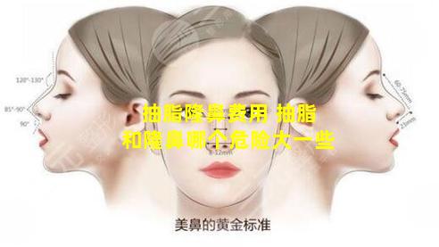 抽脂隆鼻费用 抽脂和隆鼻哪个危险大一些